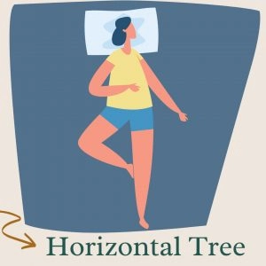 Chiropractic Austin TX Sleep Horizontal